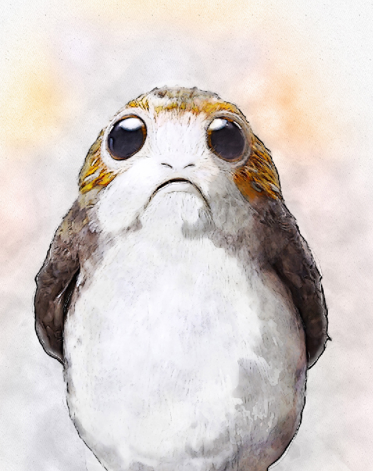 PORG